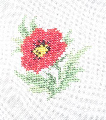 Mohn fuer Ulrike.jpg